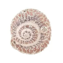 Подвеска 16-053TR эм.кор серебро Ракушка_0