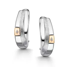 Серьги 02-4460.000Б-00 серебро_1