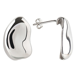 Серьги E1269-W серебро